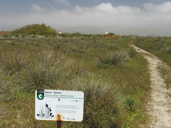 Estero Punta Banda